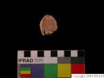 L_V23d1278 J1q873.3 Ux03 dM fg f229